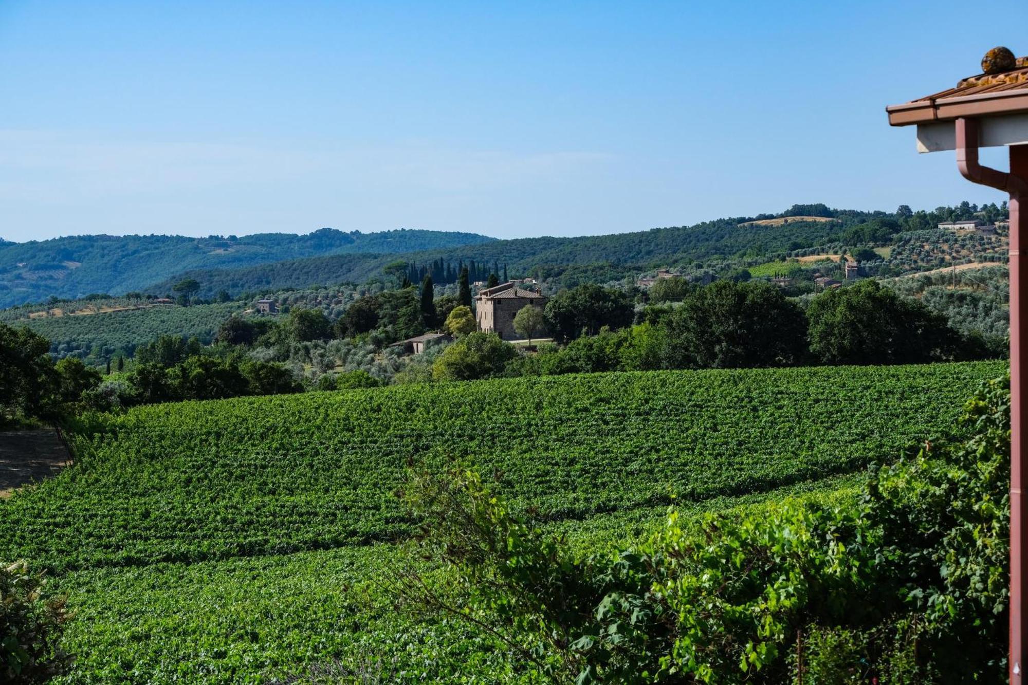 Casale Beatrice Degli Ulivi Villa Orvieto Eksteriør billede