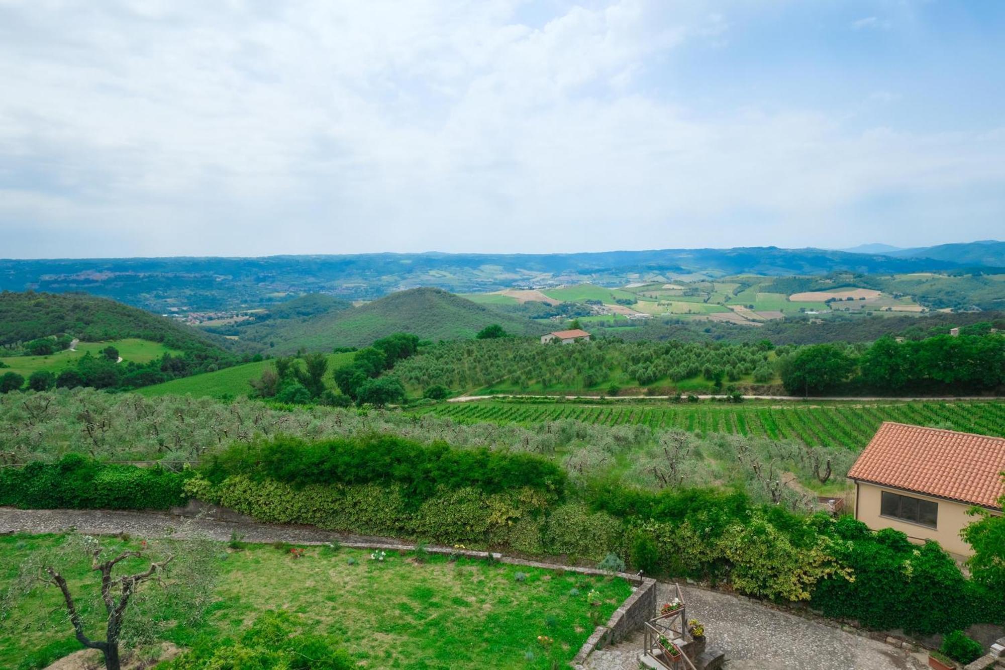 Casale Beatrice Degli Ulivi Villa Orvieto Eksteriør billede