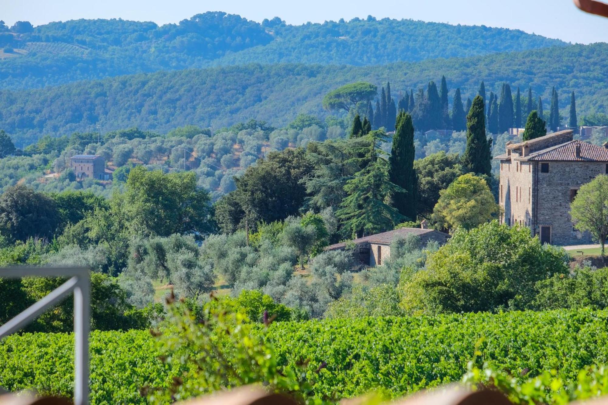 Casale Beatrice Degli Ulivi Villa Orvieto Eksteriør billede