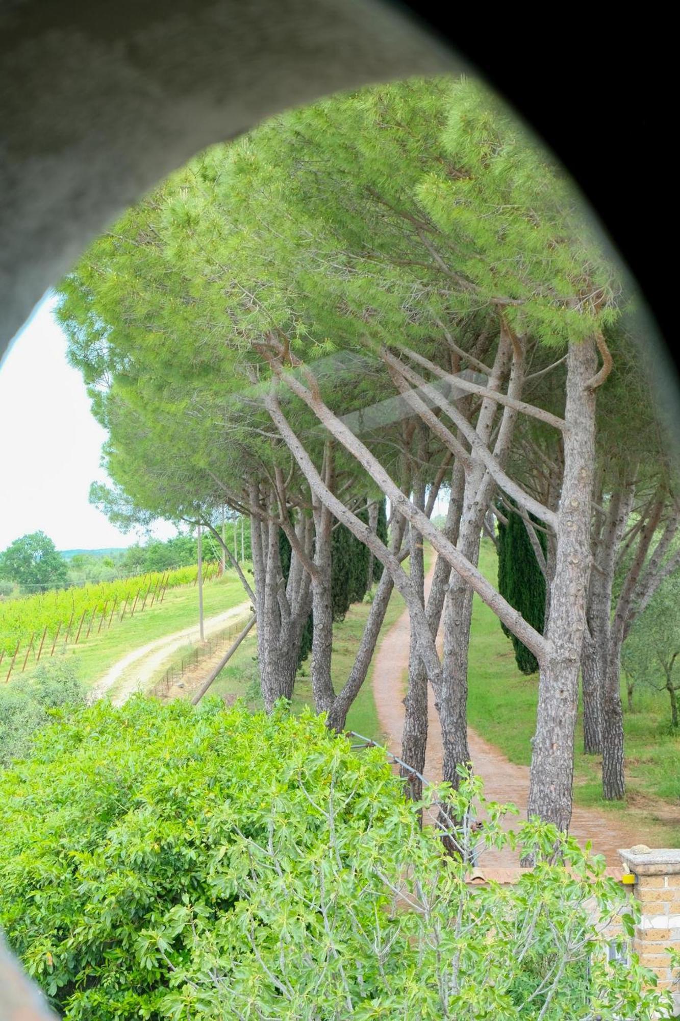 Casale Beatrice Degli Ulivi Villa Orvieto Eksteriør billede