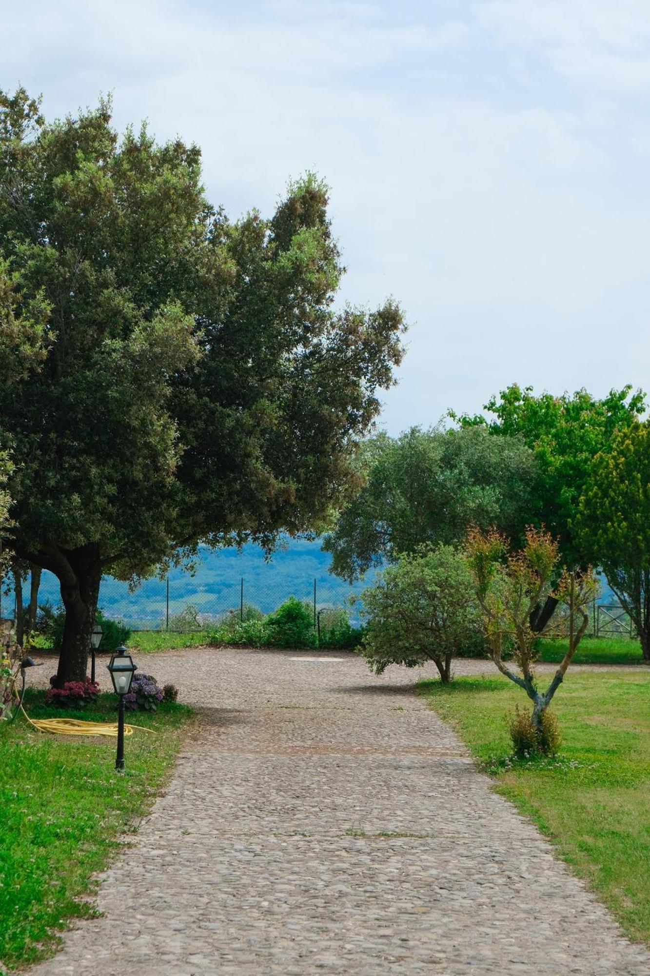 Casale Beatrice Degli Ulivi Villa Orvieto Eksteriør billede